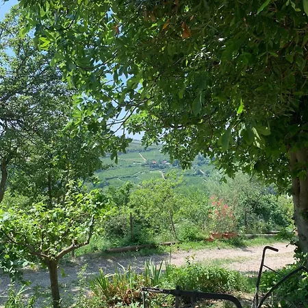 Vakantieboerderij Cascina Anri *