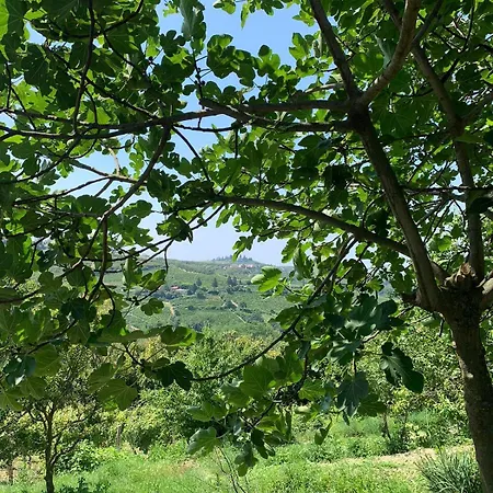 Cascina Anri Mango
