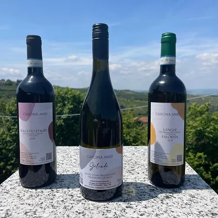 ファームステイ Cascina Anri Mango