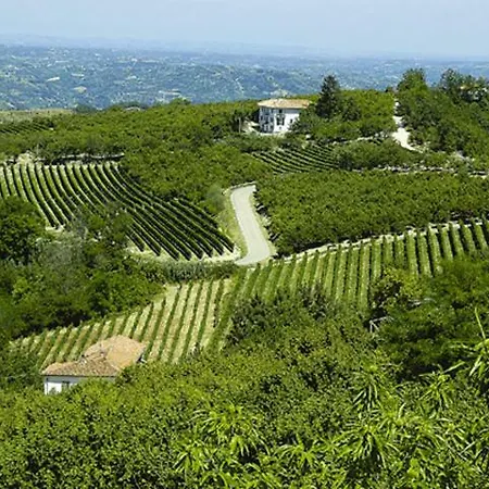 Cascina Anri 农家乐 *