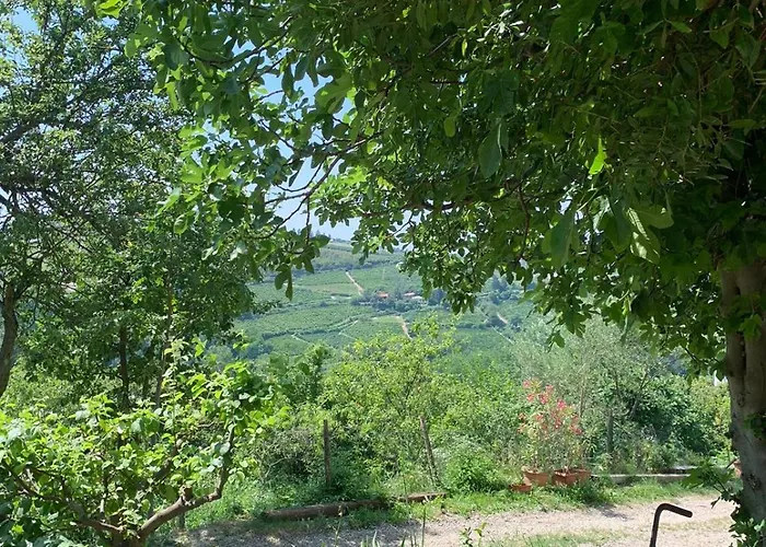 ファームステイ Cascina Anri *