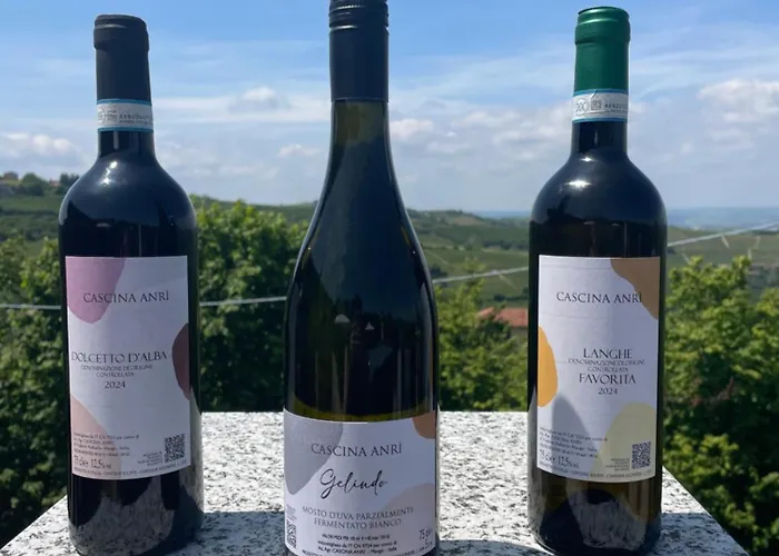 ファームステイ Cascina Anri Mango